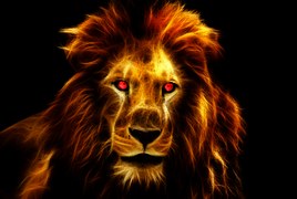 lion